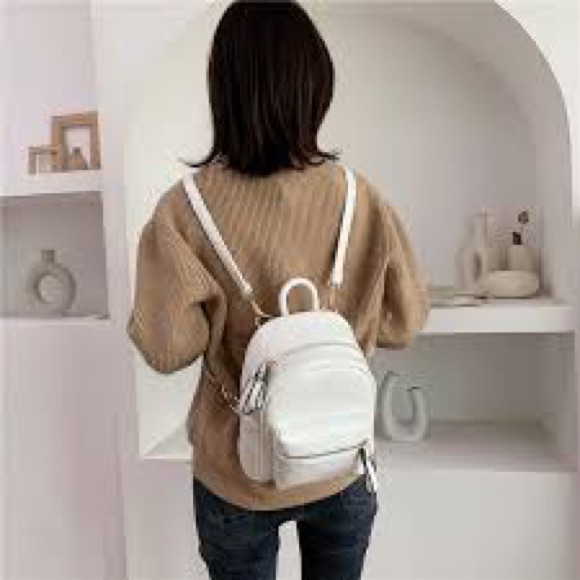 Brand New Dog Box Backpack Brand New Dog Box Backpack